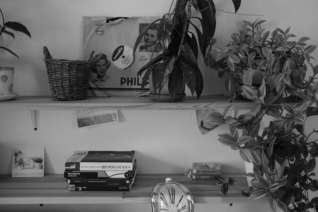 organized living room shelf