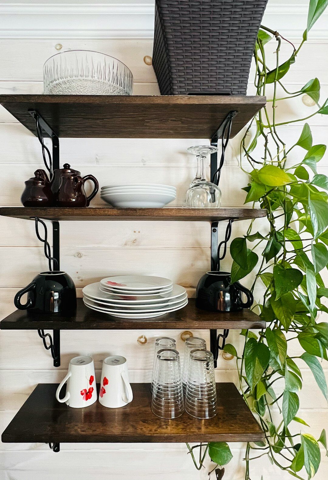 organized kitchen shelves